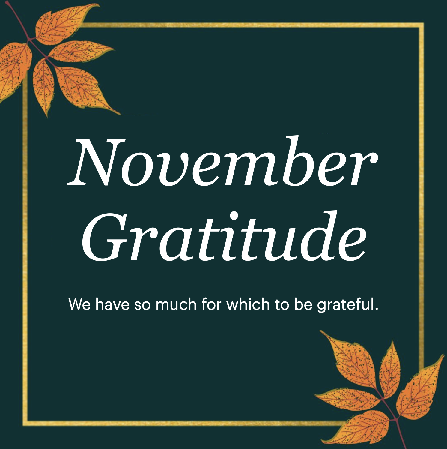 It’s November! – A Beacon of Light
